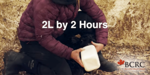 give 2 litres of colostrum within two hours of calving
