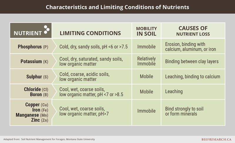 characteristics and limiting conditions of nutrients