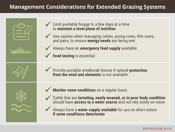 Management considerations for extended grazing systems.