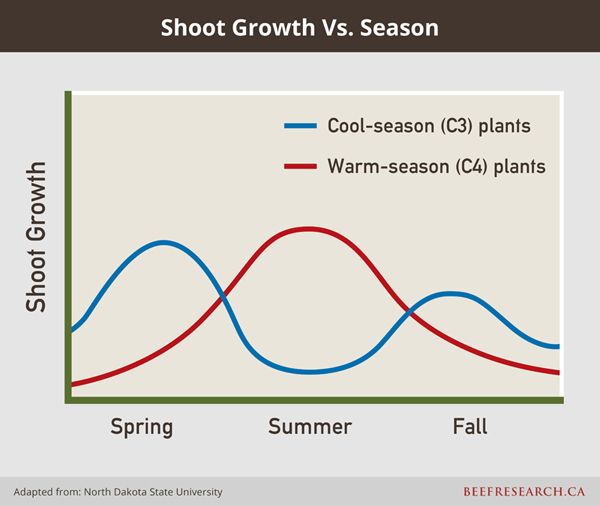 Shoot growth vs. season