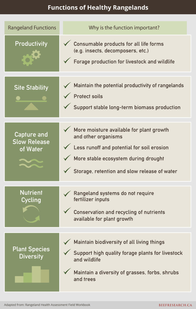 Functions of healthy rangelands