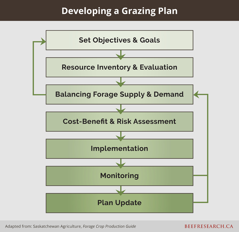 Steps for developing a grazing plan.