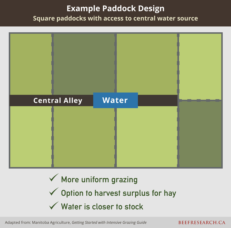 Example paddock design square paddocks