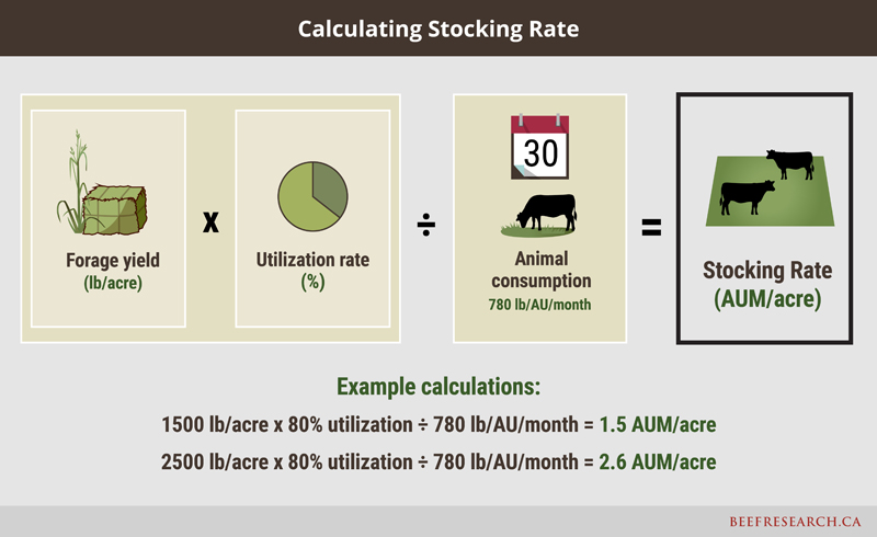 Calculating stocking rate