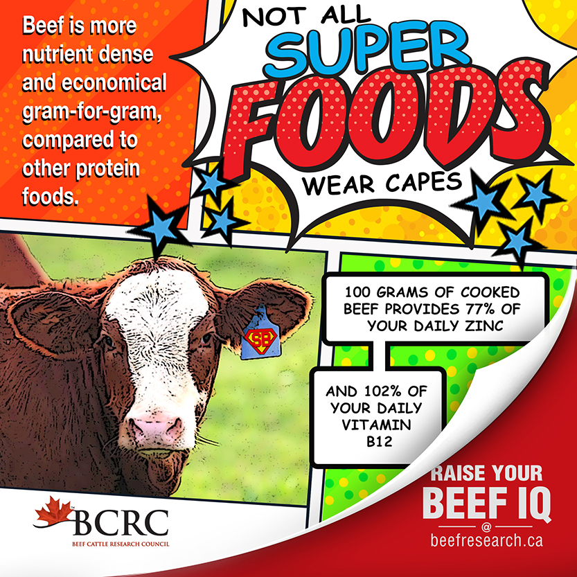 Not all super foods wear capes. Beef is more nutrient dense and economical gram-for-gram compared to other protein foods.
