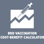 Bovine Respiratory Disease Vaccination Cost-Benefit Calculator