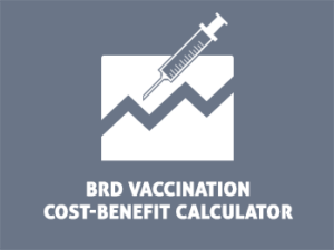 Beef Cattle Research Council Bovine Respiratory Disease Vaccination Cost-Benefit Calculator