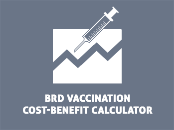 BRD Vaccination cost benefit calculator