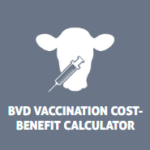 bovine viral diarrhea vaccination cost-benefit calculator