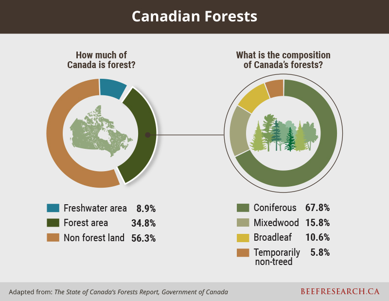 Canadian forests