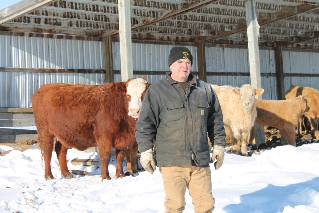 Donald Badour, Ontario – A Shift from Winter to Fall Calving