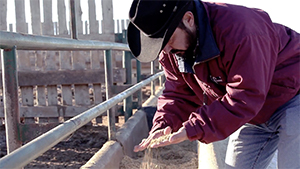 examining feed for feed testing