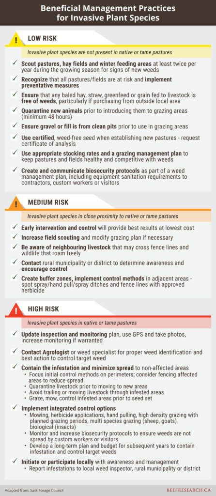 beneficial management practices for invasive plant species