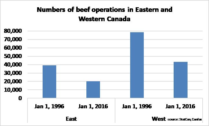 Numbers of beef operations in Eastern and Western Canada 1996-2016