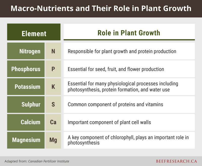 Macro-nutrients and their role in plant growth