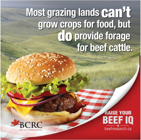 Most grazing lands can't grow crops for food, but do provide forage for beef cattle