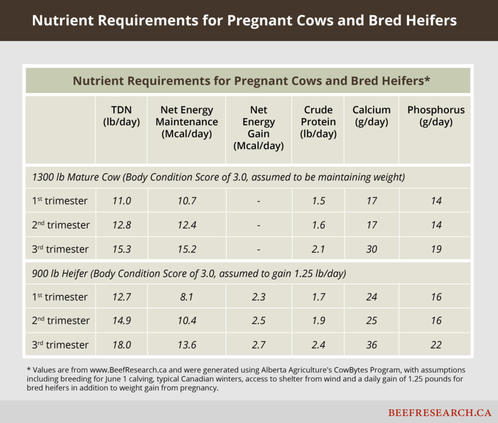 Nutrient requirements for pregnant cows and bred heifers.