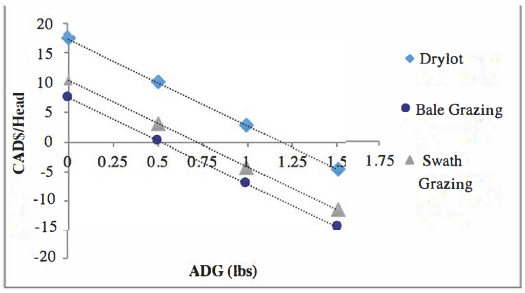 Graph of ADG of cull cows over the winter feeding period