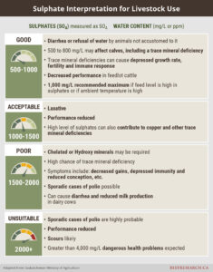 Water Management for Beef Cattle - BeefResearch.ca