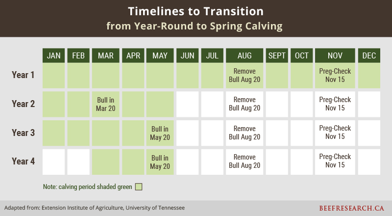 Timelines to transition from year-round to spring calving