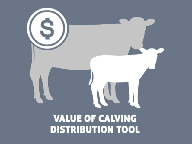 Value of calving distribution tool