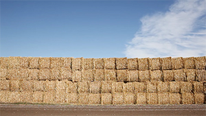 stacked hay bales