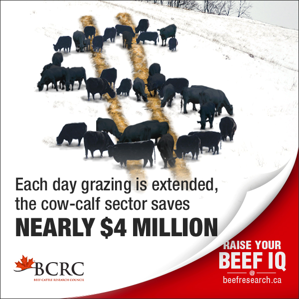 Each day grazing is extended, the cow-calf sector saves nearly $4 million.
