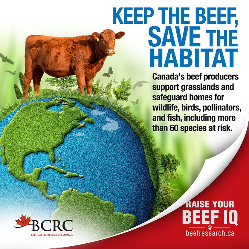 Keep the beef, save the habitat.