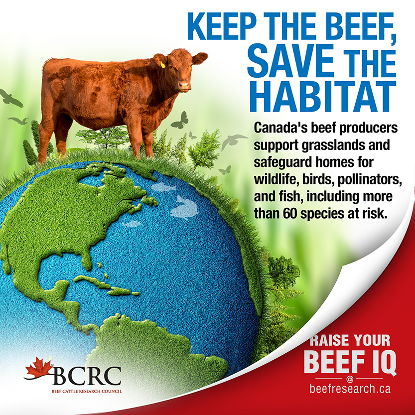 Environmental Footprint of Beef Production 