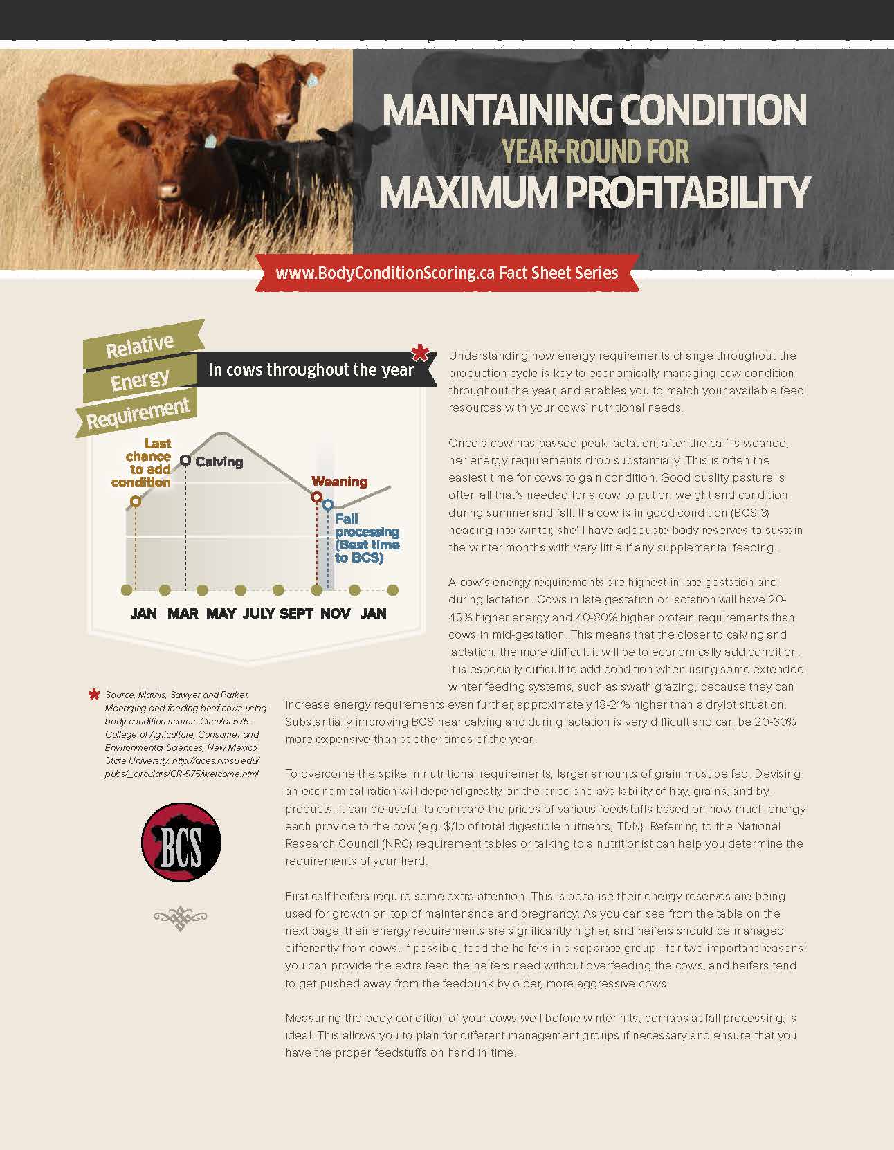 Fact sheet: Maintain Condition Year-Round for Maximum Profitability