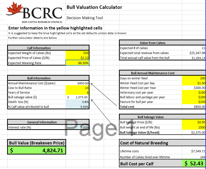 Bull valuation calculator