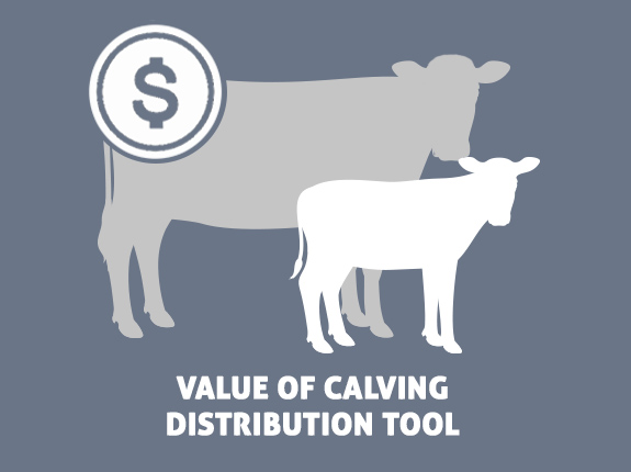 Value of calving distribution tool
