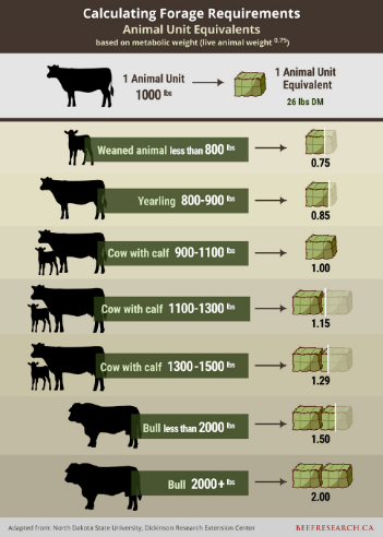 calculating forage requirements for animal unit equivalents