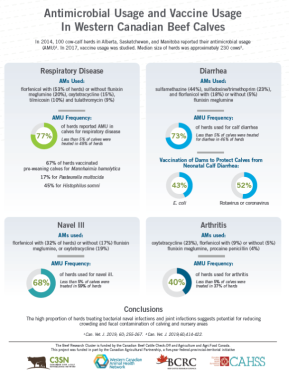 Antimicrobial usage and vaccine usage in western Canadian beef calves