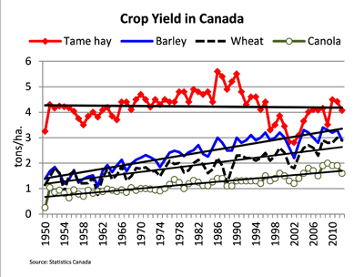 crop yield in Canada