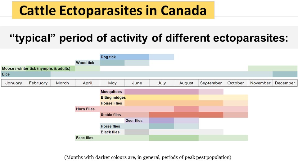 Ectoparasites in Canada