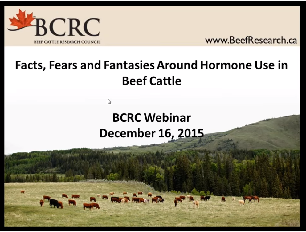 Facts, fears and fantasies around hormone use in beef cattle webinar