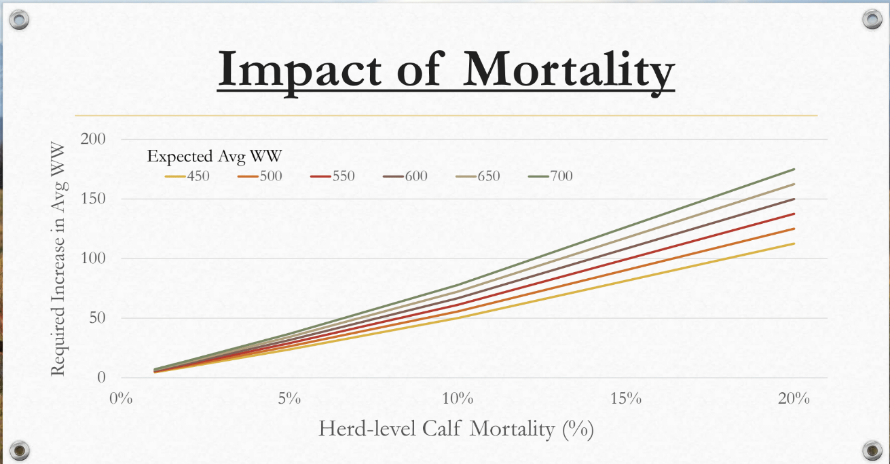 herd level calf mortality