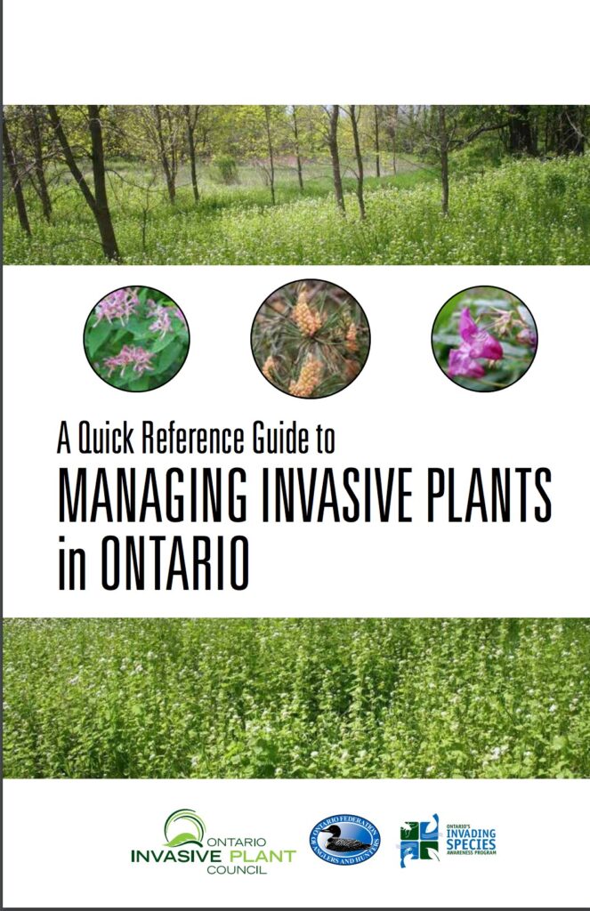 managing invasive plants in Ontario