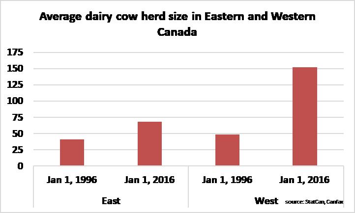 Average dairy cow herd size in Eastern and Western Canada 1996-2016