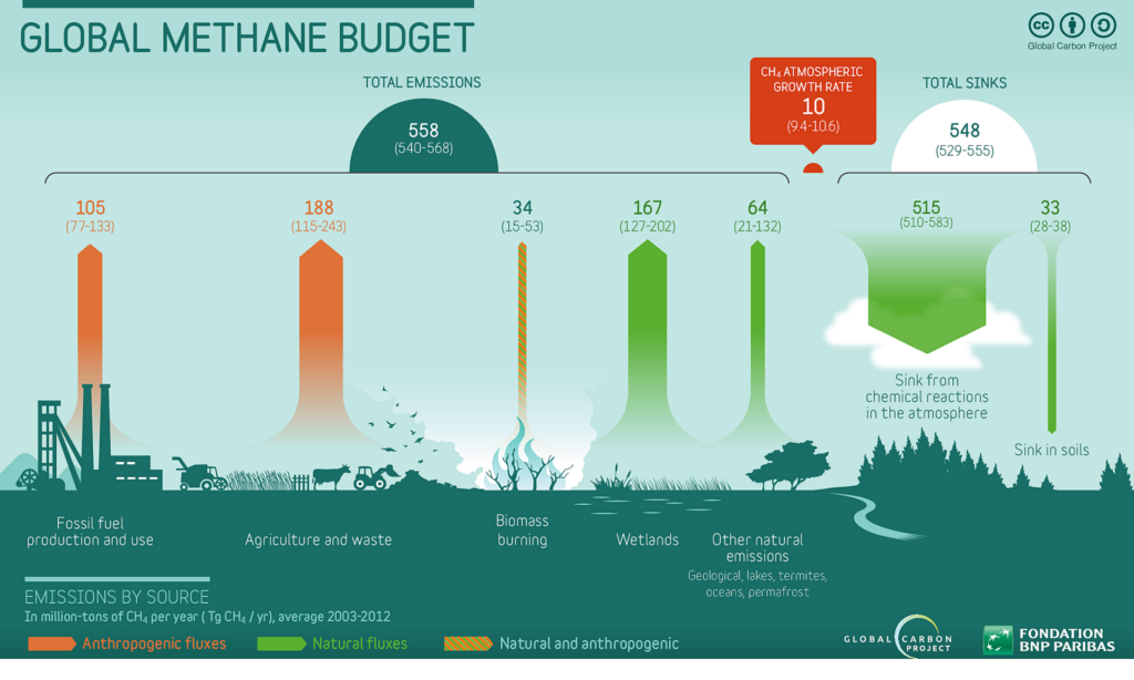 Global methane budget.