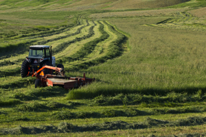 tractor cutting crop