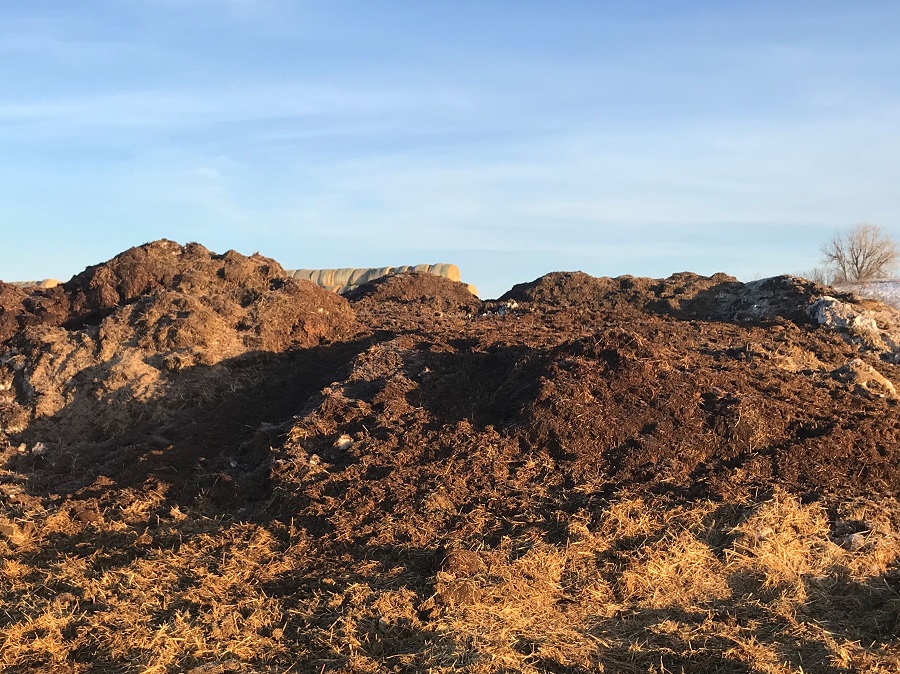 Stockpiled manure pile