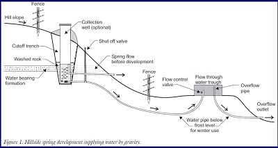 spring development fact sheet