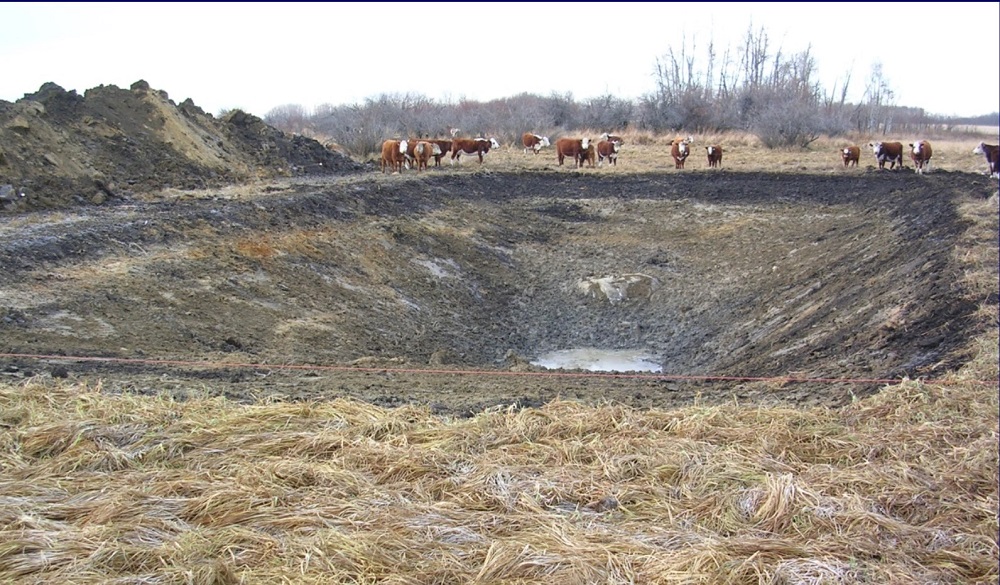 dugout for cattle