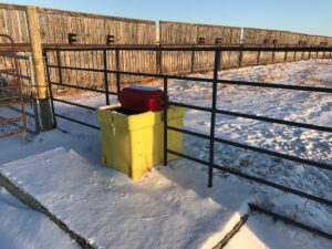 Water Management for Beef Cattle - BeefResearch.ca