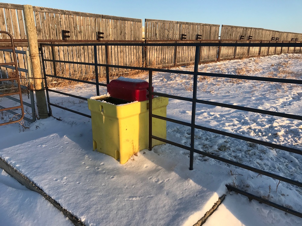 fence line waterer during winter