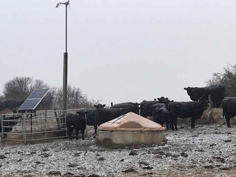 Water Management for Beef Cattle - BeefResearch.ca