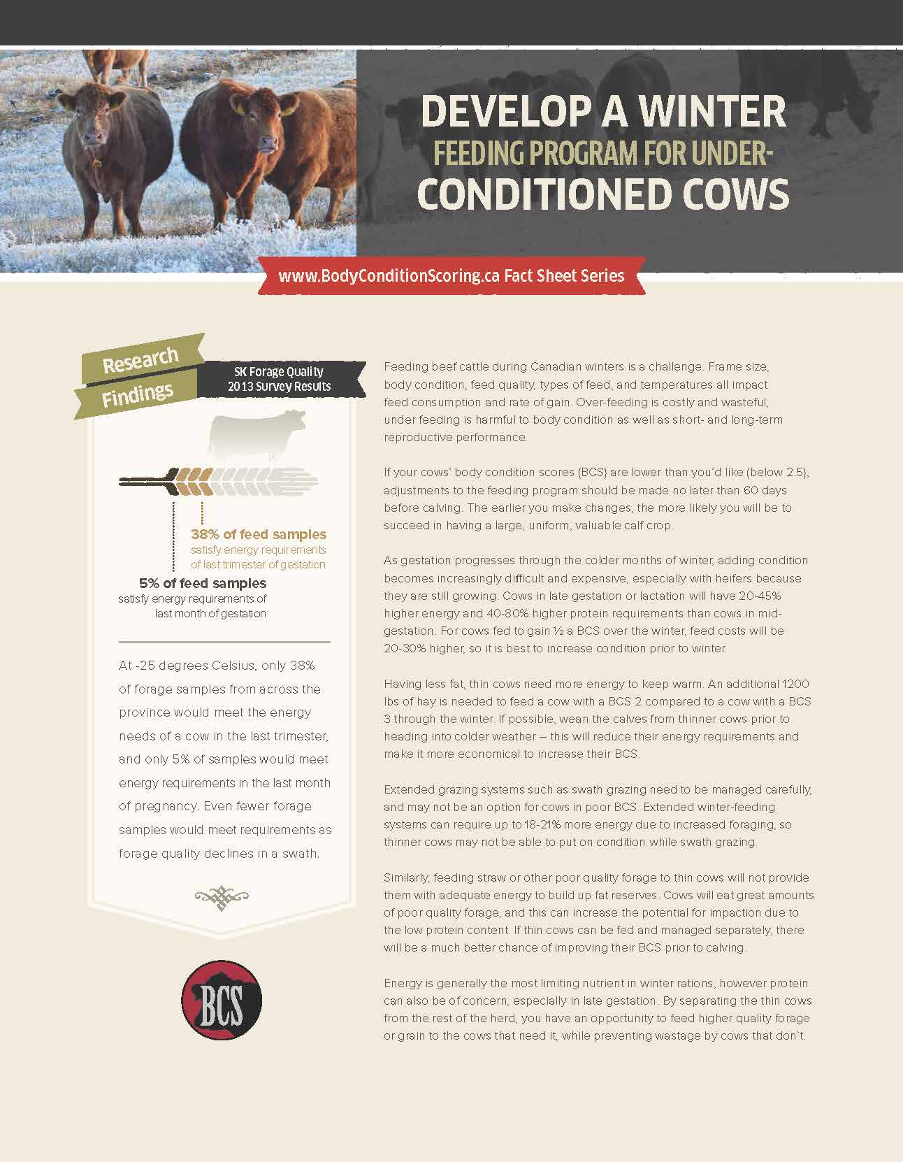Fact sheet: Develop a Winter Feeding Program for Underconditioned/Thin Cows