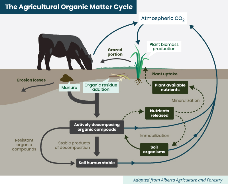 The agricultural organic matter cycle